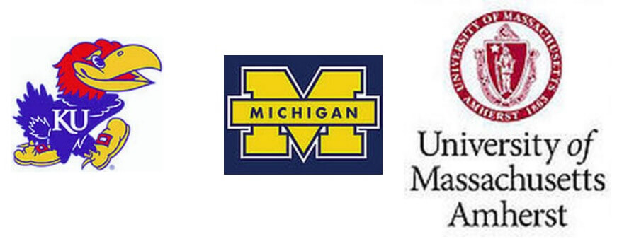 Guides from World Class Universities